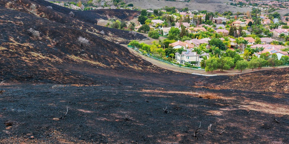 Wildfire burn area to the edge of suburban neighborhood in Southern California.