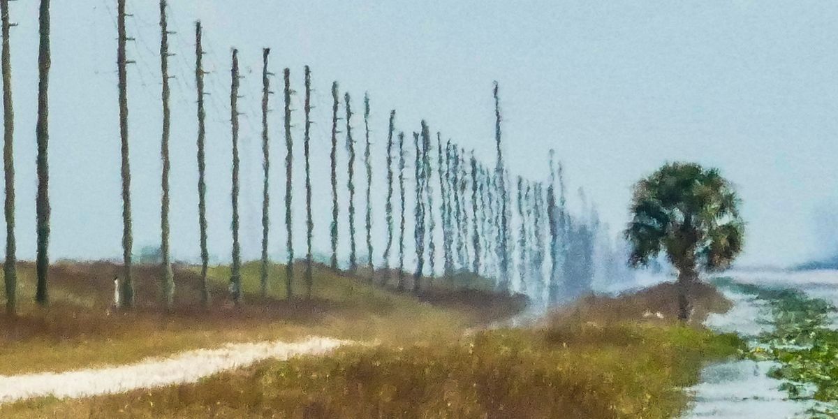 a photo of a landscape showing signs of extremely high temperatures