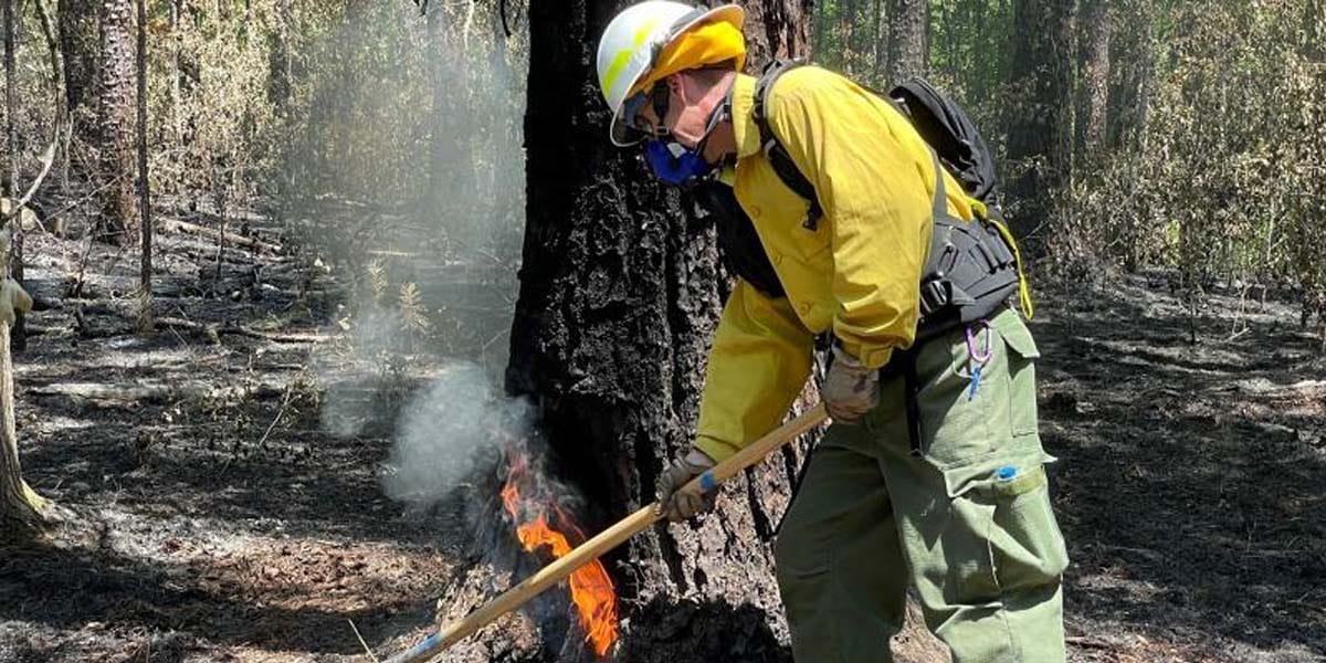 wildland respirator